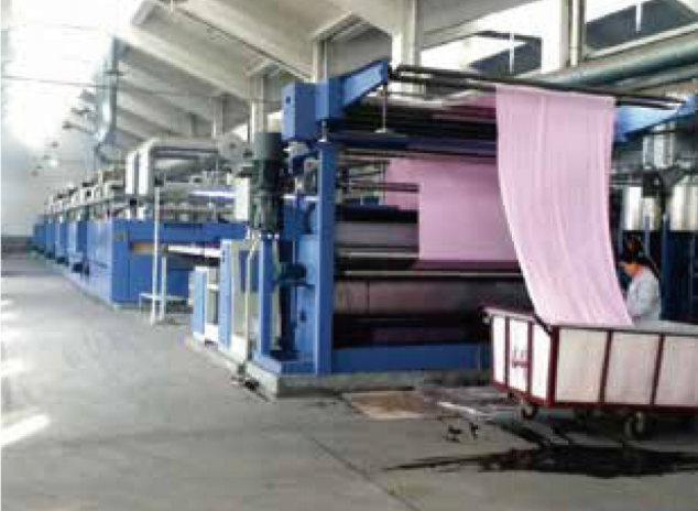 8 Chamber Stenter 1